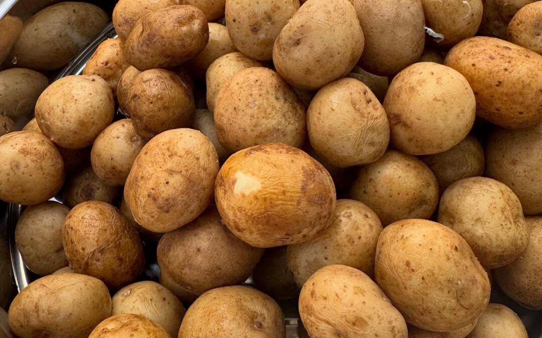 さくら祭り＠練馬/桜台/海鮮/肉/居酒屋/さくら祭り