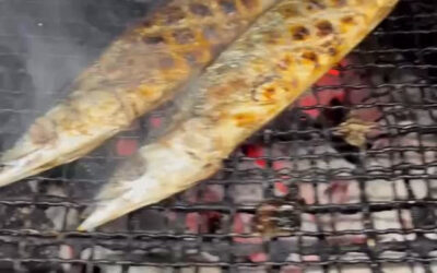 秋刀魚の炭火焼き＠練馬/桜台/海鮮/居酒屋/秋刀魚の炭火焼き