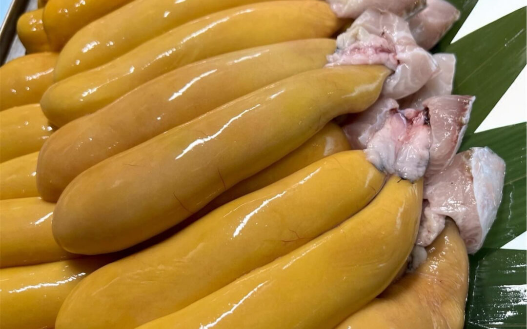 カラスミ仕込み中＠練馬/桜台/海鮮/居酒屋/酒/カラスミ仕込