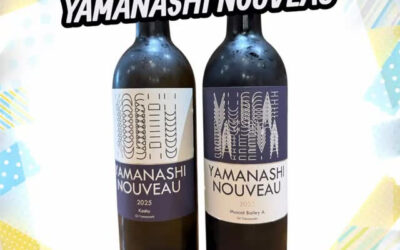 YAMANASHI NOUVEAU＠練馬/桜台/海鮮/肉/居