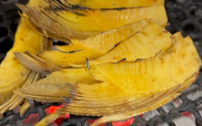 新竹の子の炭火焼き＠練馬/桜台/海鮮/居酒屋/酒/新竹の子の