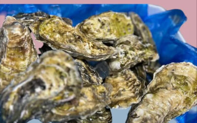 生牡蠣＠練馬/桜台/海鮮/居酒屋/酒/生牡蠣