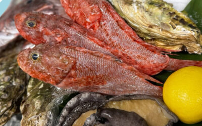 鬼オコゼ@練馬/桜台/海鮮/居酒屋/刺身/日本酒/鬼オコゼ