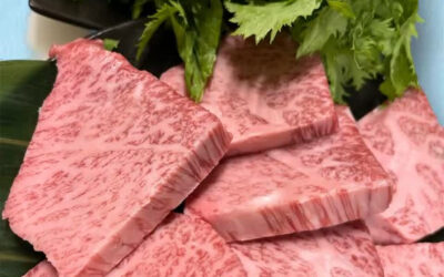 トモサンカクの炭火焼き＠練馬/桜台/海鮮/居酒屋/酒/トモサ