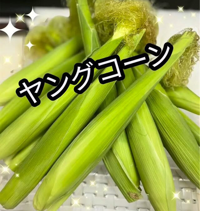 ヤングコーン炭火焼き＠練馬/桜台/海鮮/居酒屋/酒/ヤングコ